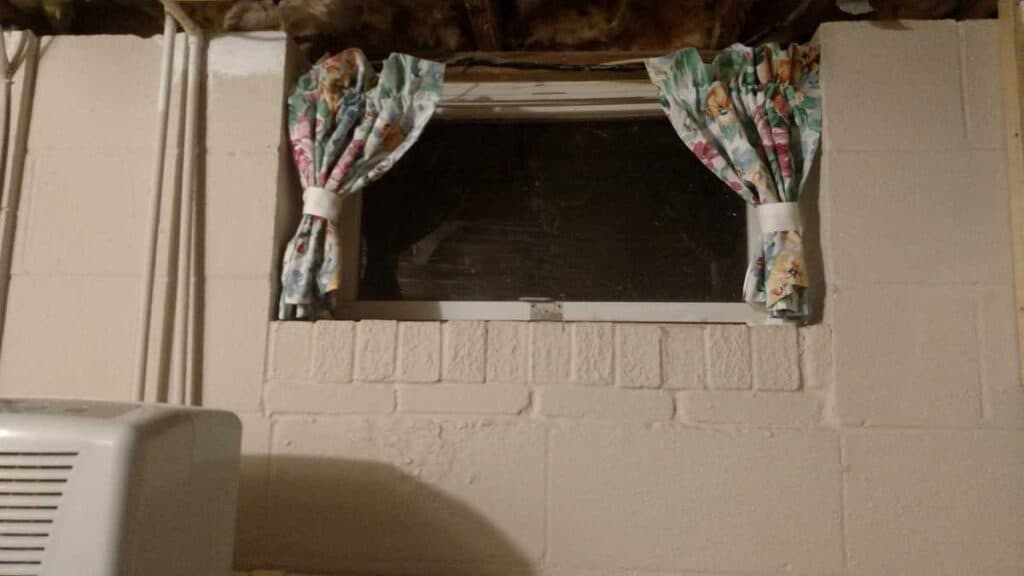 basement window