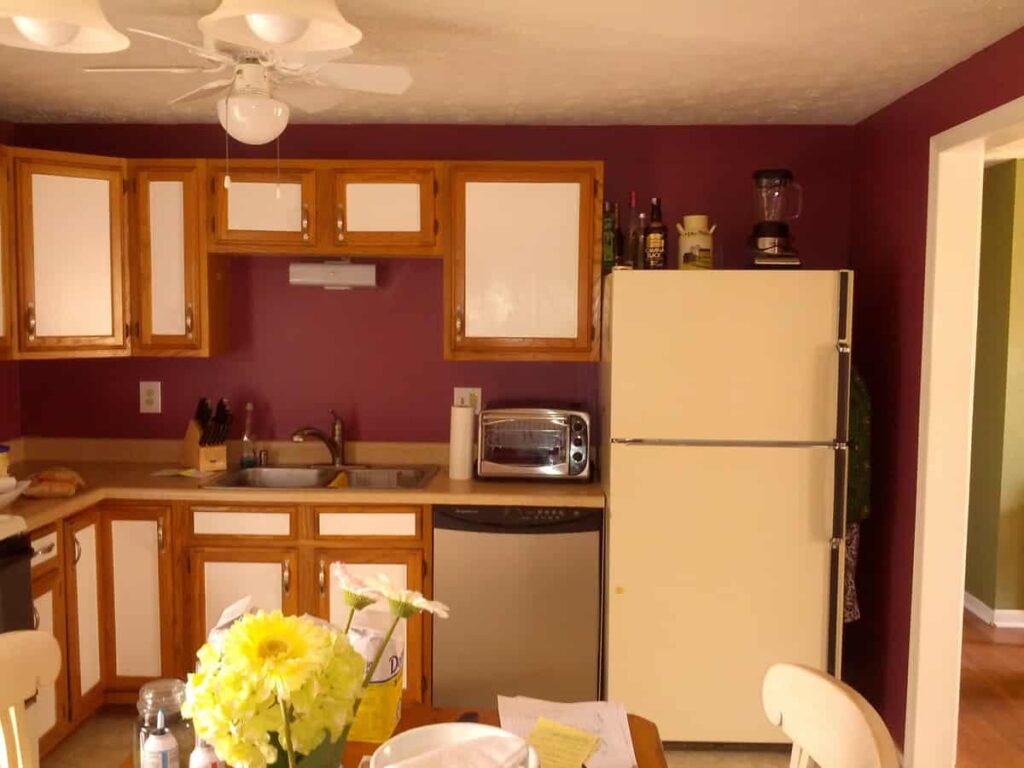 kitchen wall facing sink, with cupboards and fridge