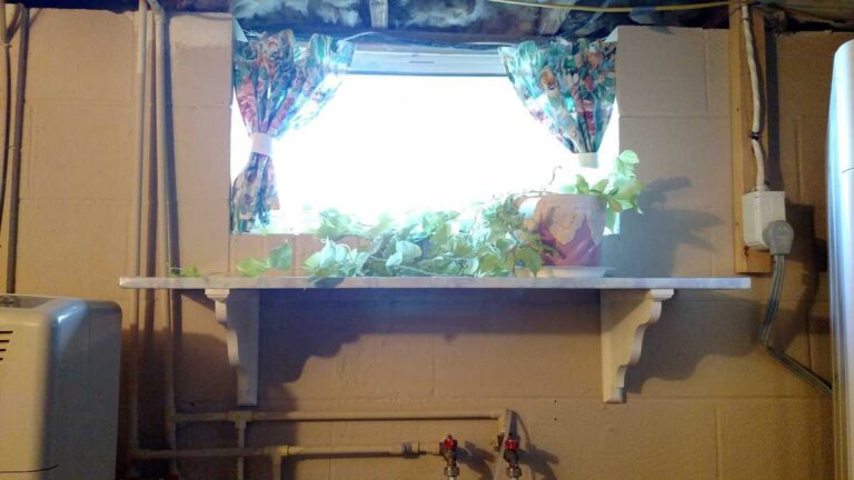 Basement Window Shelf