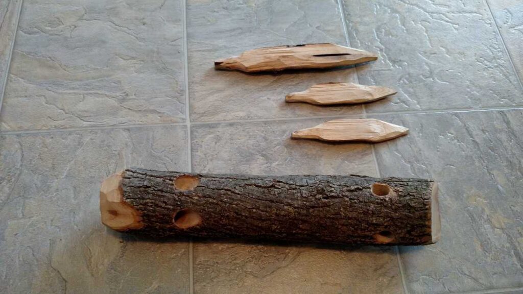 a small log with holes and 3 other pieces