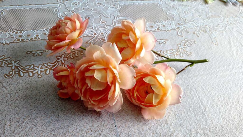 peach roses