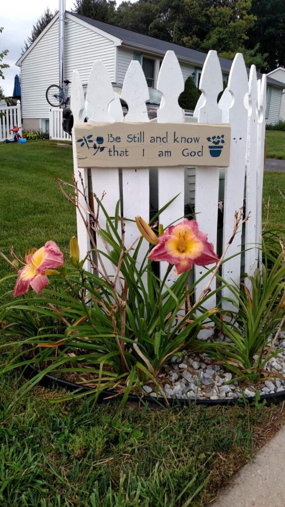 pink day lilies