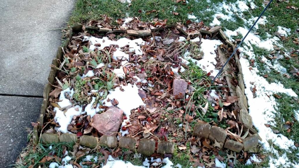 Scalloped Brick Edging http://www.b4andafters.com flower bed looking sad