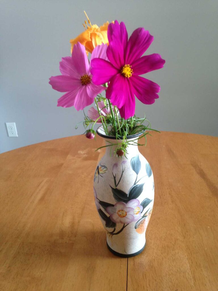 cosmos flower bouquet