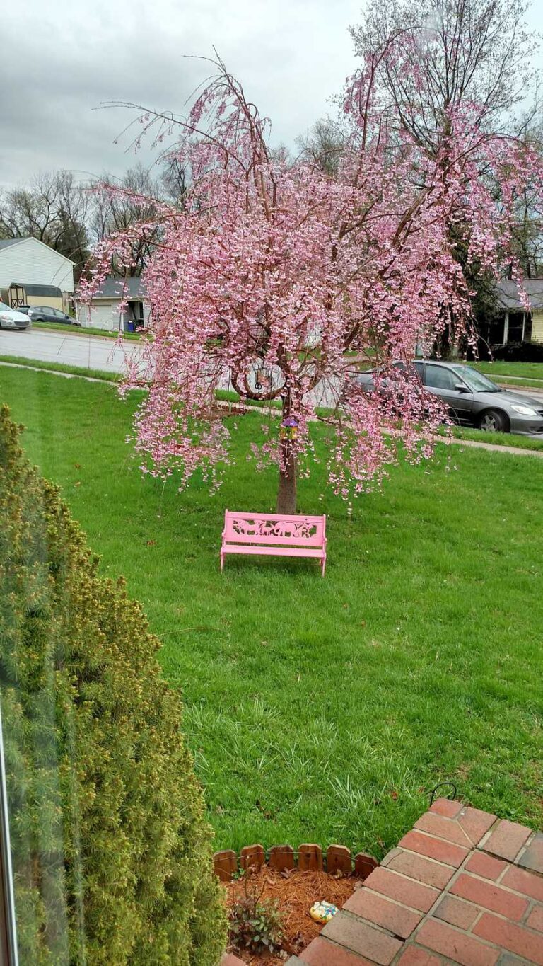 Painting a Garden Bench