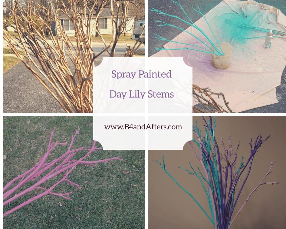 https://www.b4andafters.com/spray-painted-flower-stems/