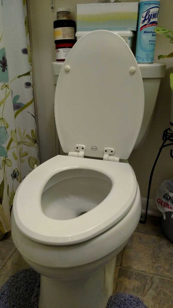 elongated toilet seat