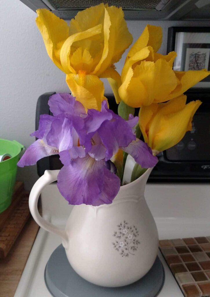 Iris bouquet