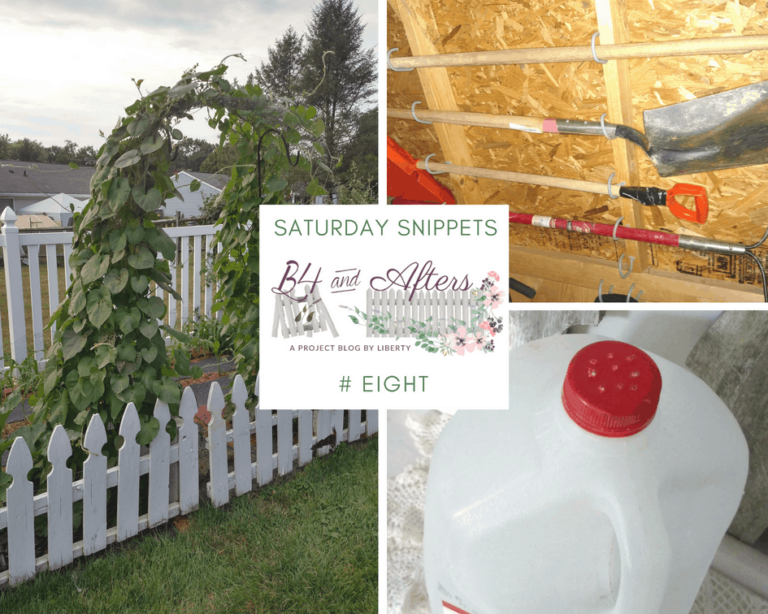 Saturday Snippets #8