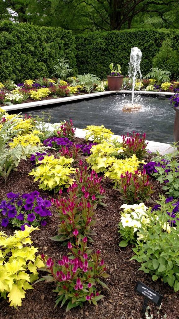 Longwood Gardens Tour https://www.b4andafters.com
