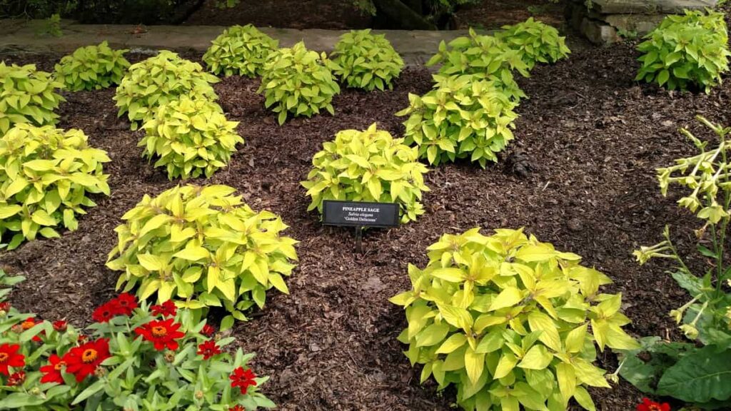 Longwood Gardens Tour https://www.b4andafters.com
