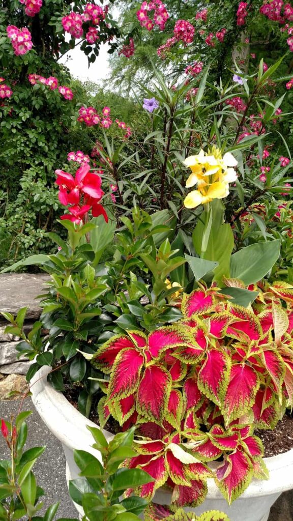 Longwood Gardens Tour https://www.b4andafters.com