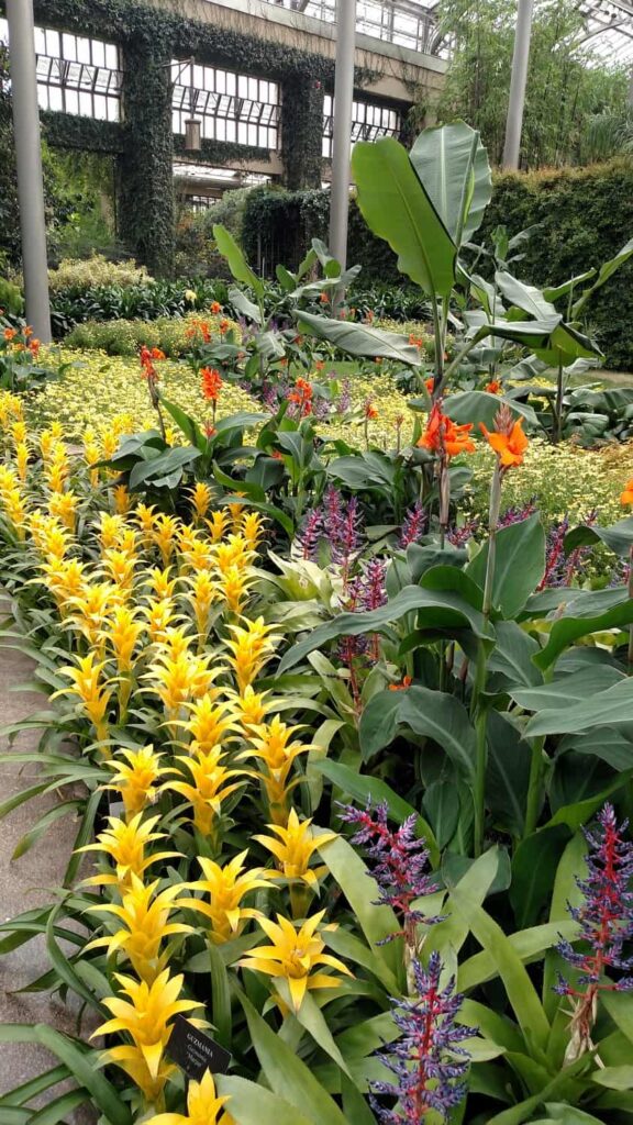 Longwood Gardens Tour https://www.b4andafters.com