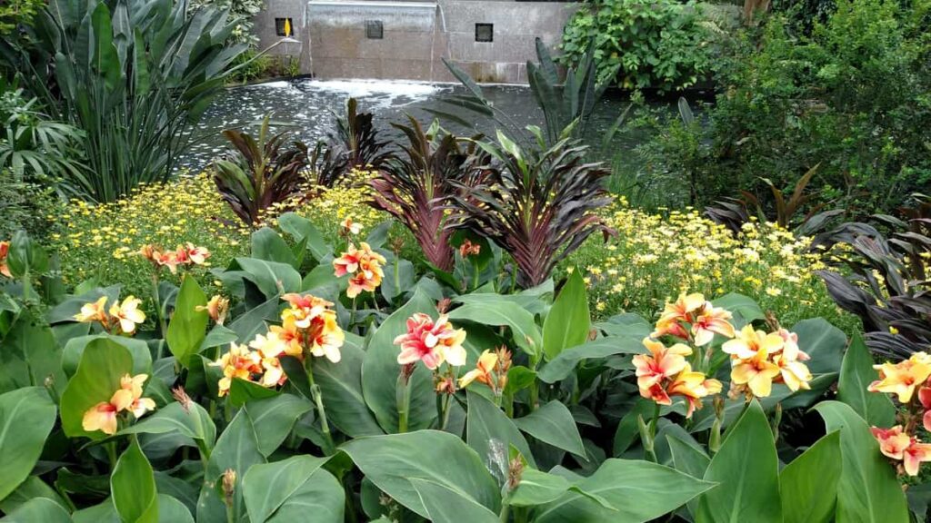 Longwood Gardens Tour https://www.b4andafters.com