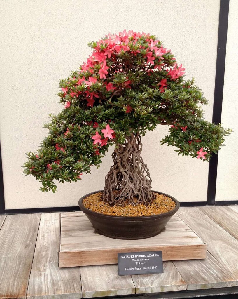 Longwood Gardens Tour https://www.b4andafters.com