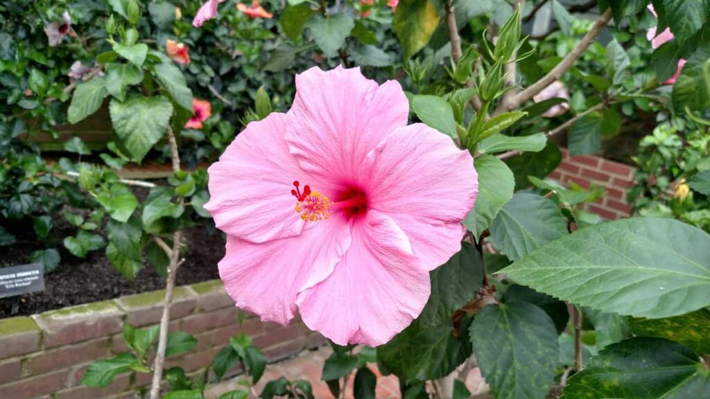 Longwood Gardens Tour https://www.b4andafters.com