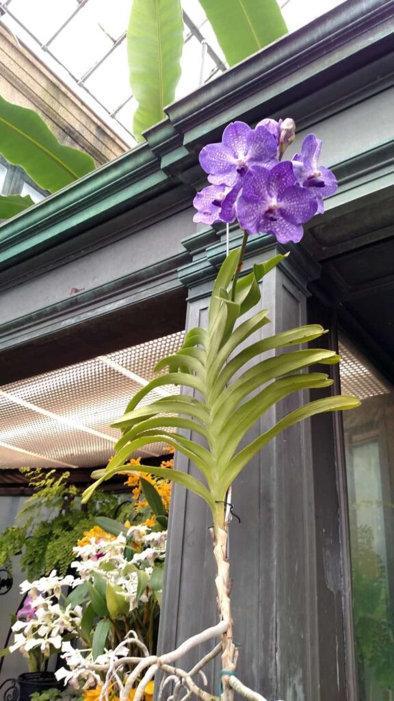 Longwood Gardens Tour https://www.b4andafters.com