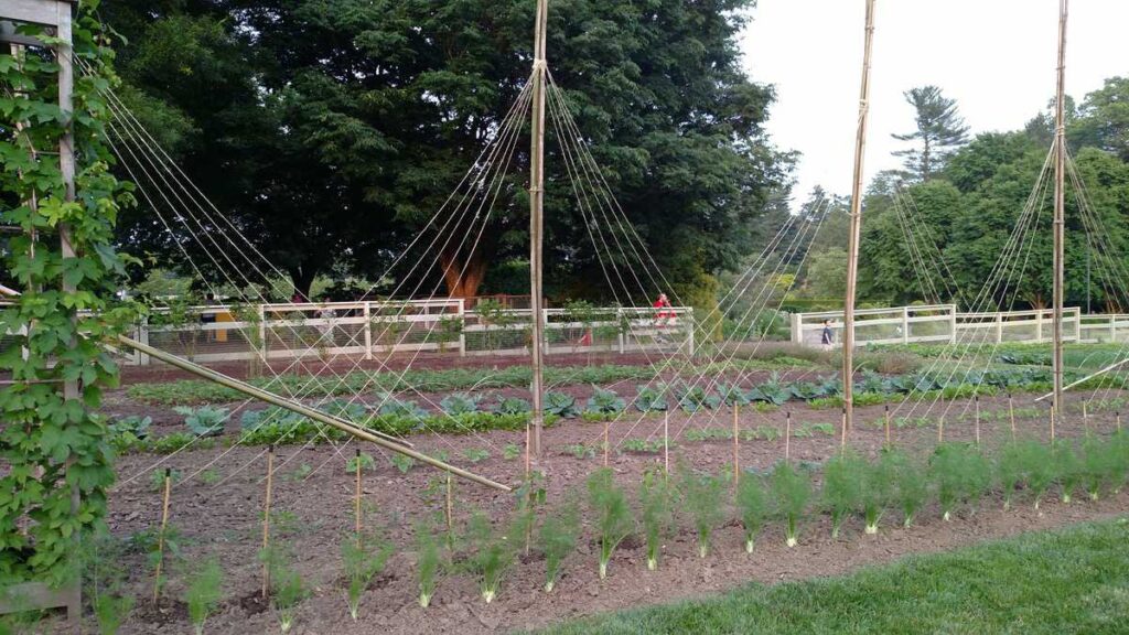Longwood Gardens Tour https://www.b4andafters.com