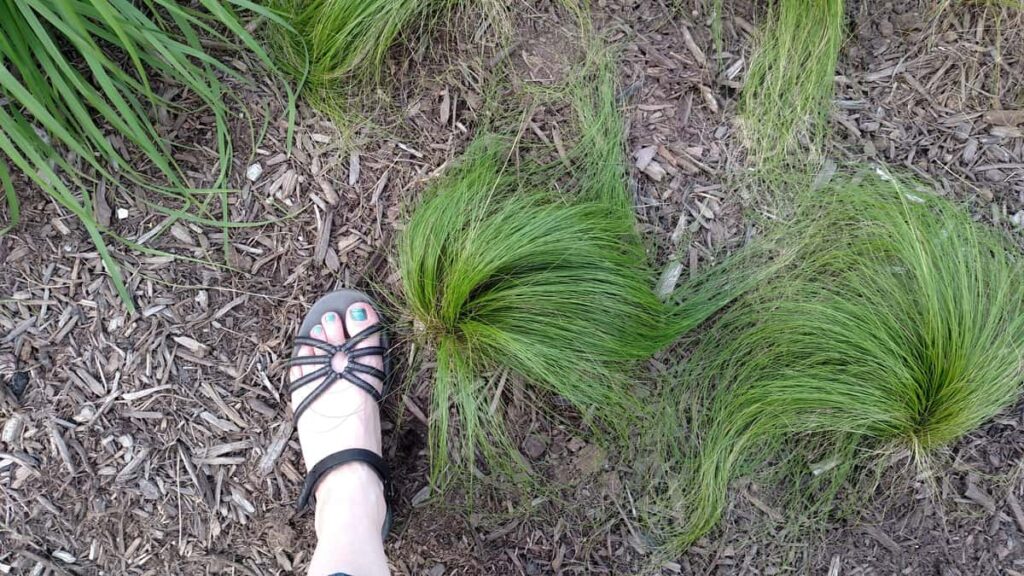 Longwood Gardens Tour https://www.b4andafters.com