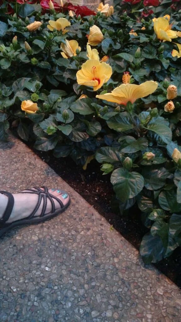 Longwood Gardens Tour https://www.b4andafters.com