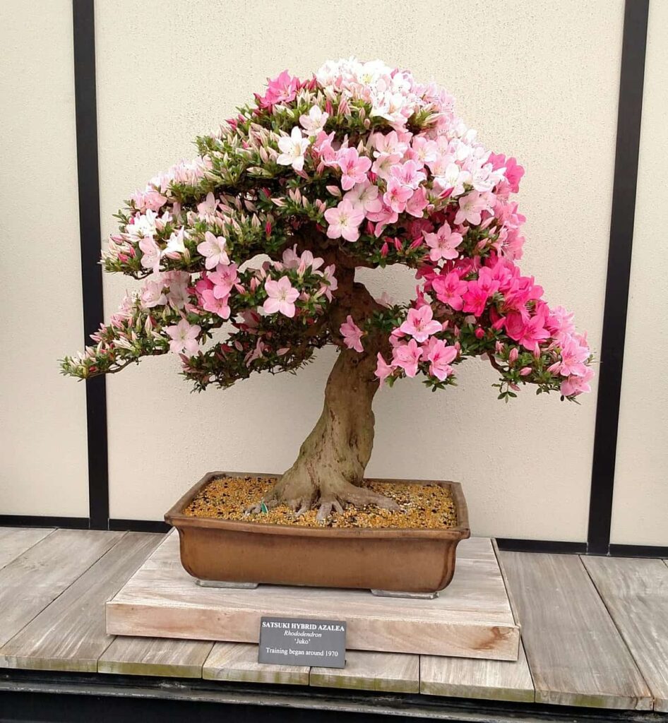 Longwood Gardens Tour https://www.b4andafters.com