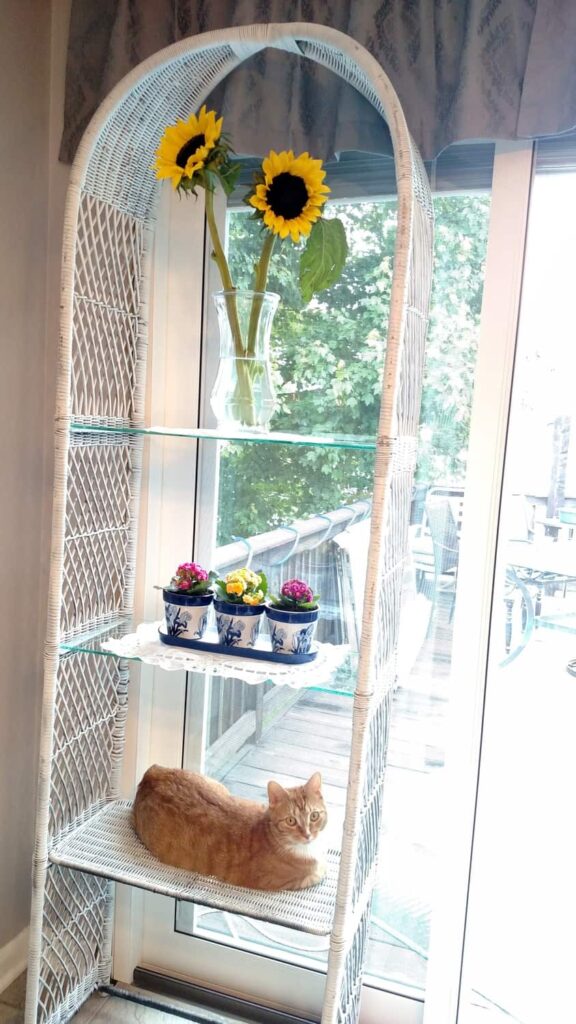 tall shelf with flowers and cat