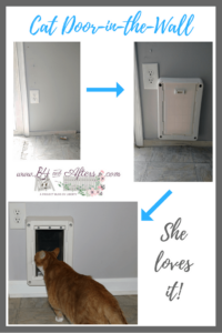 Exterior wall cat door outlet