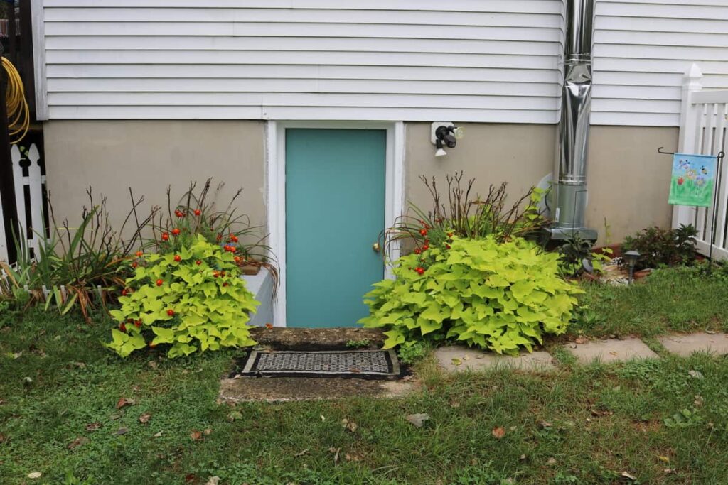 Garden at Summer's End https://www.b4andafters.com sweet potato vine likes shade