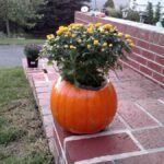 mum in a pumpkin