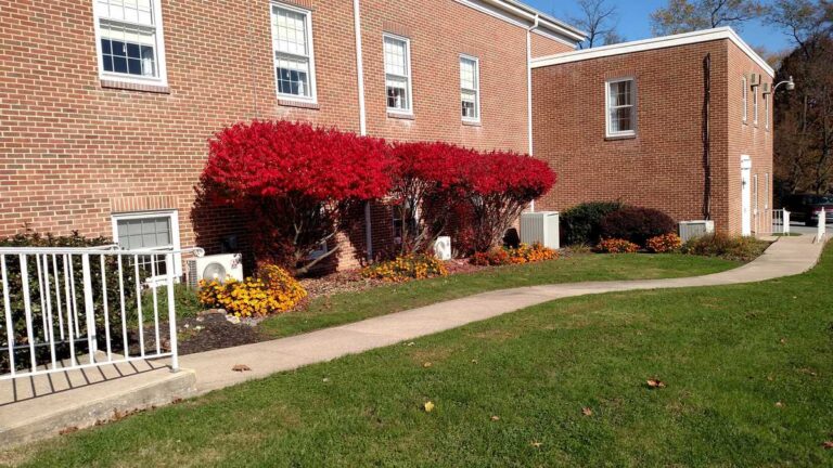 Volunteer Landscaping