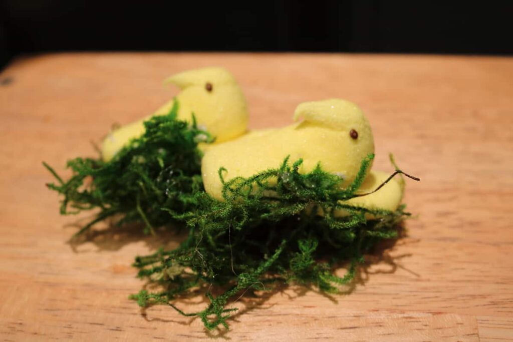 Easy Easter Kitchen Cabinet Decor https://www.b4andafters.com Third step to Marshmallow Peeps nest, glue faux moss to bottom of marshmallow chicks