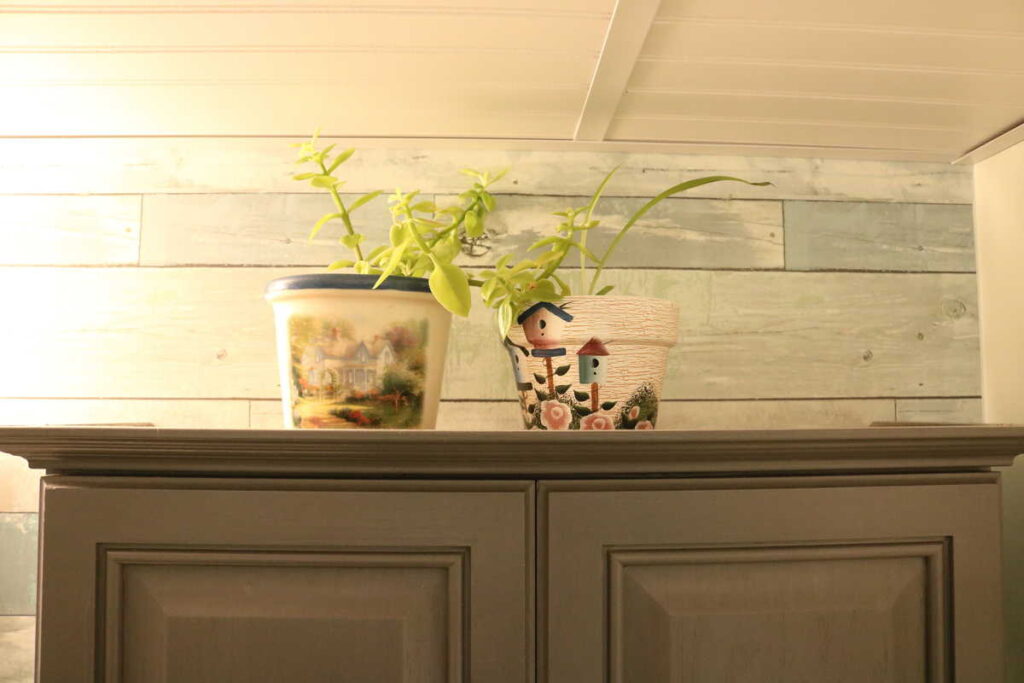 plants on a cabinet near a drop ceiling