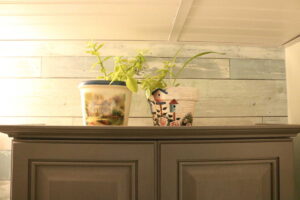 plants on a cabinet near a drop ceiling
