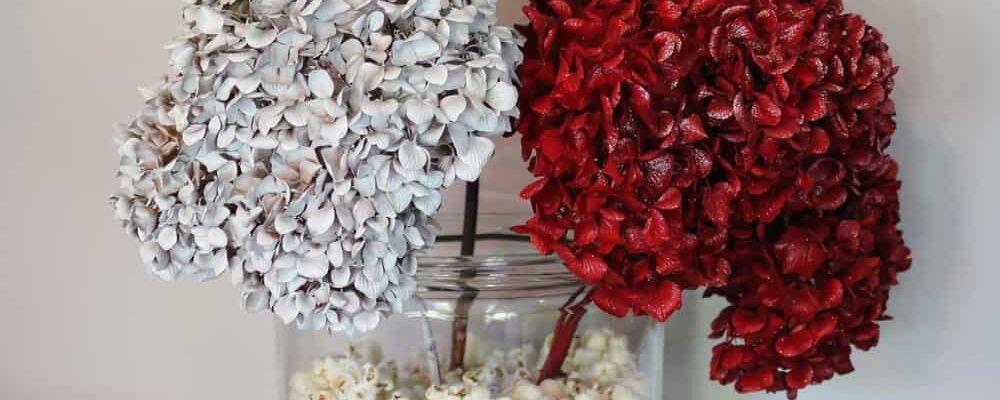 dried hydrangeas painted red, white, and blue