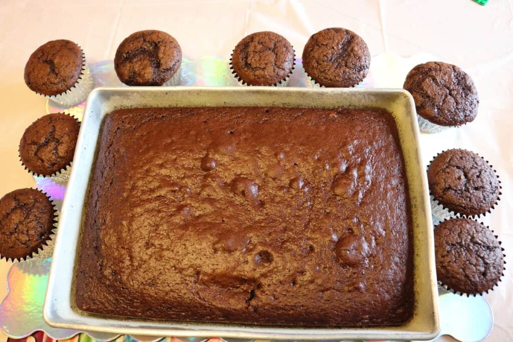 chocolate cake with chocolate cupcakes