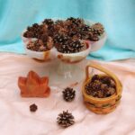 miniature pine cone vignette
