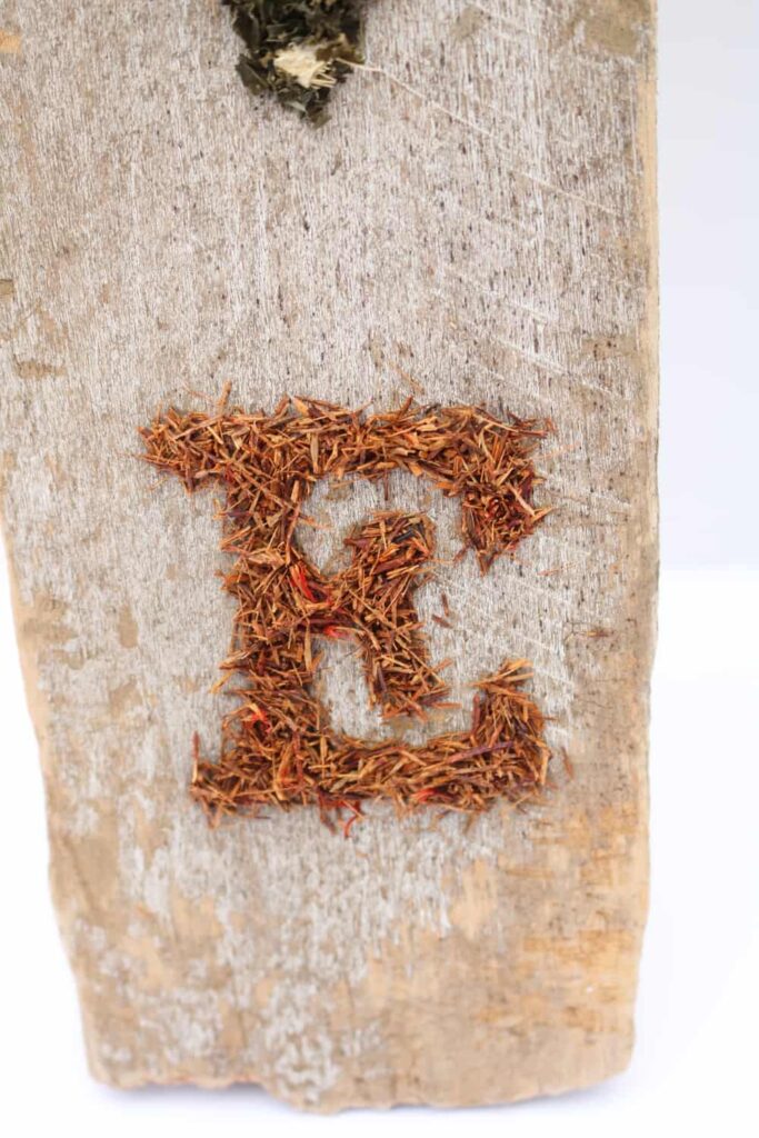 rooibos tea leaves in the shape of the letter E