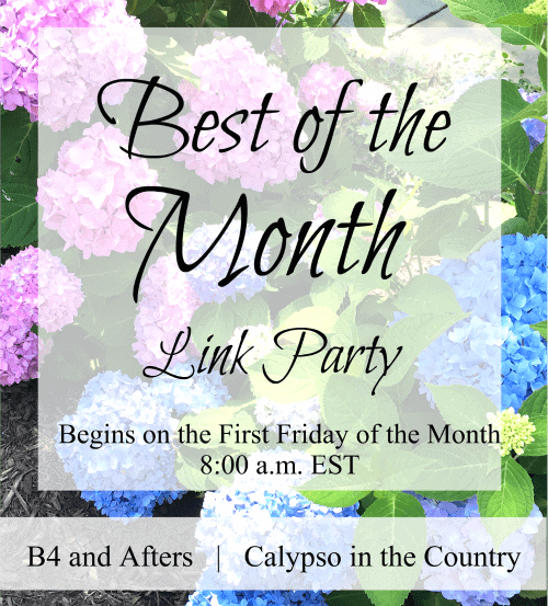 https://www.b4andafters.com/best-of-month-link-party-january-2020