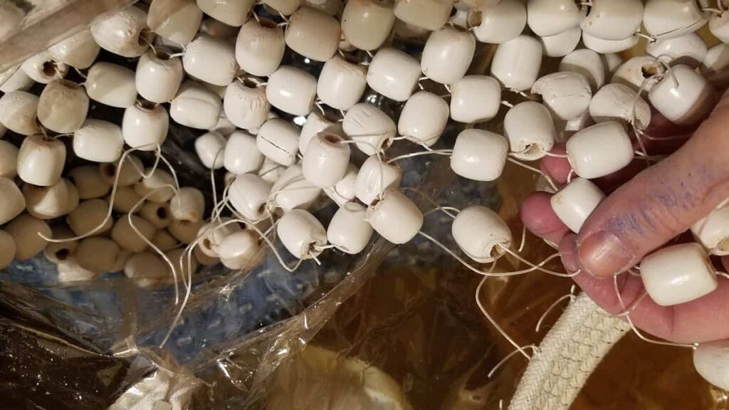 strings and white wooden beads