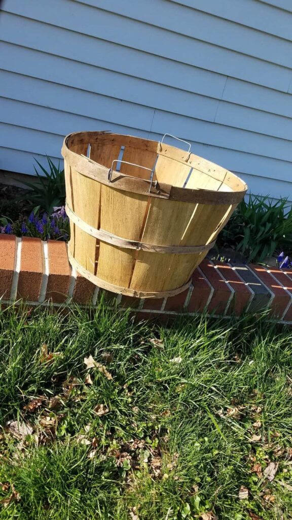 apple bushel basket