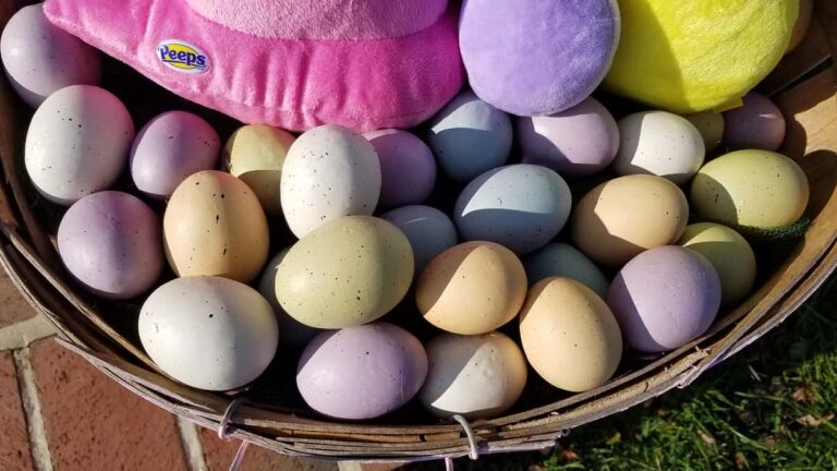 Giant Outdoor Easter Basket B4 And Afters Using A Bushel Basket