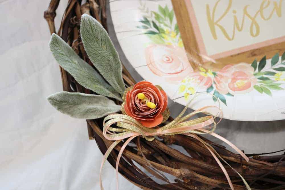 closeup of peach flower with lamb's ear leaves