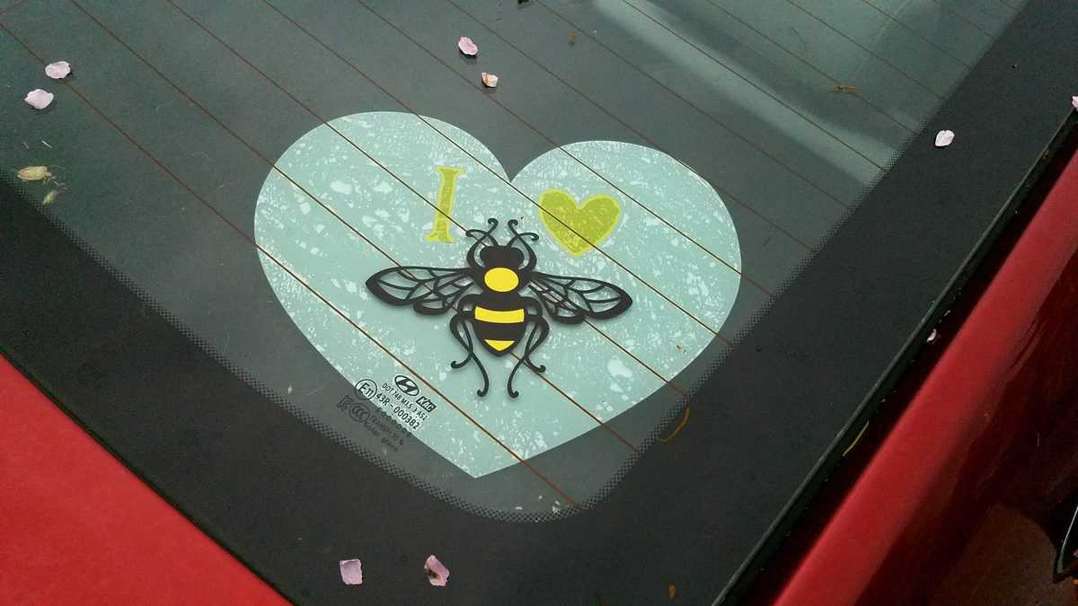 I heart Honey Bee decal with white heart underlaying the main design