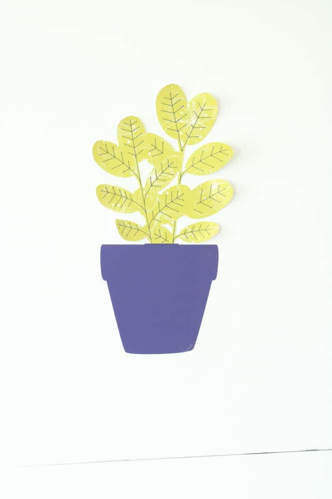 small potted plant