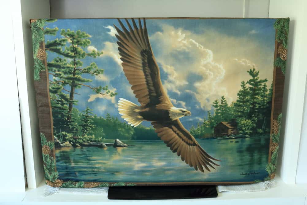 eagle print tv dust cover