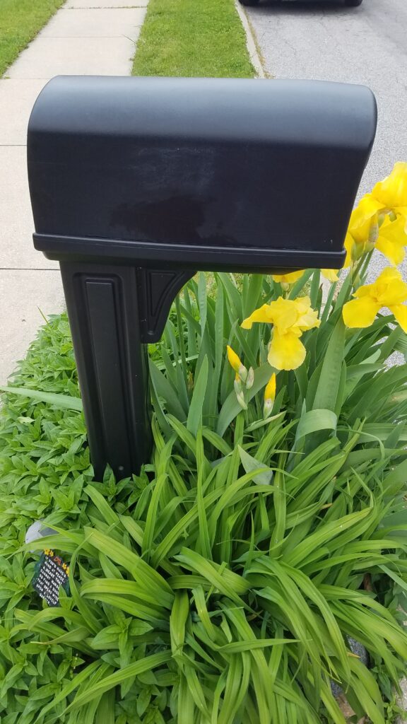 plain black plastic mailbox