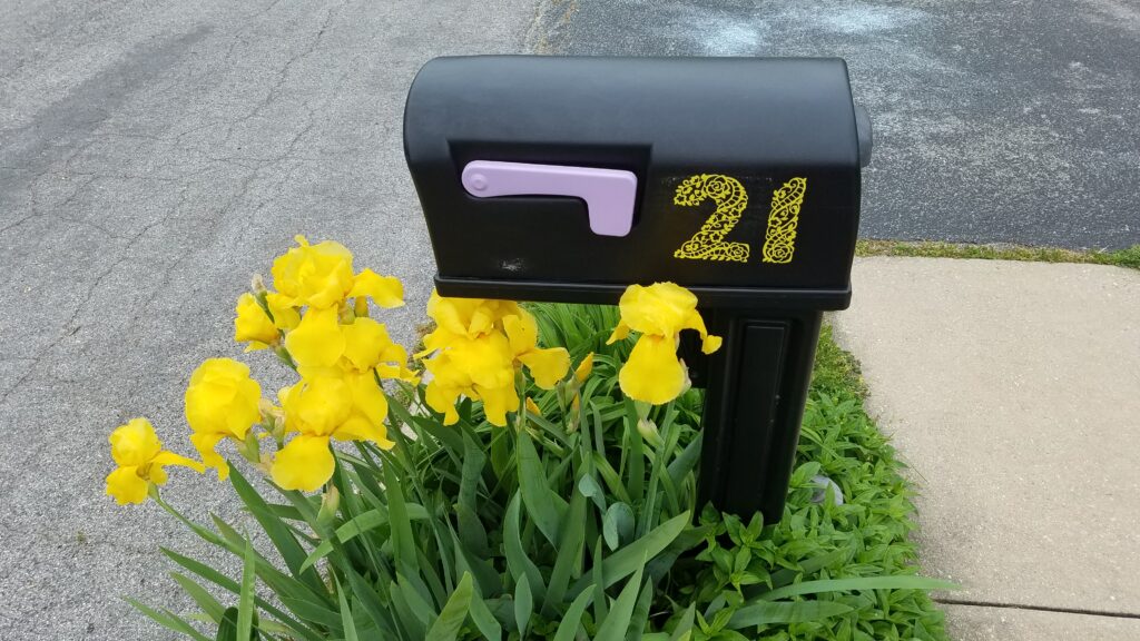 black mailbox with flag and yellow irises