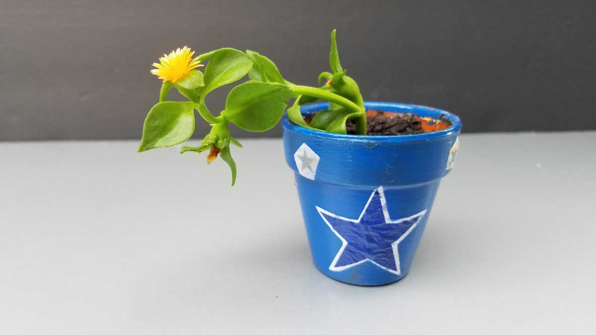 blue pot with decoupaged stars