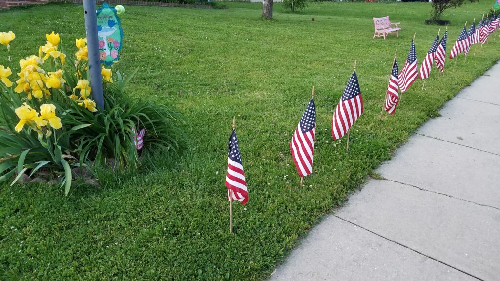 flags in the grass lining a sidewalk