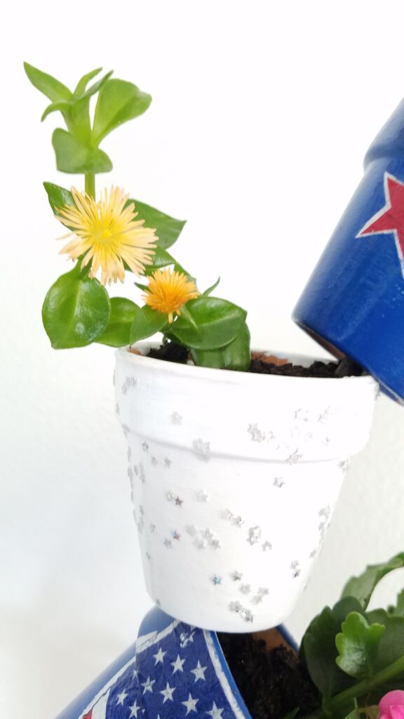 white mini terra cotta pot with yellow flower succulent